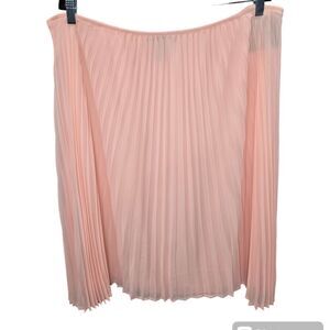 Apostrophe Pleated Skirt
